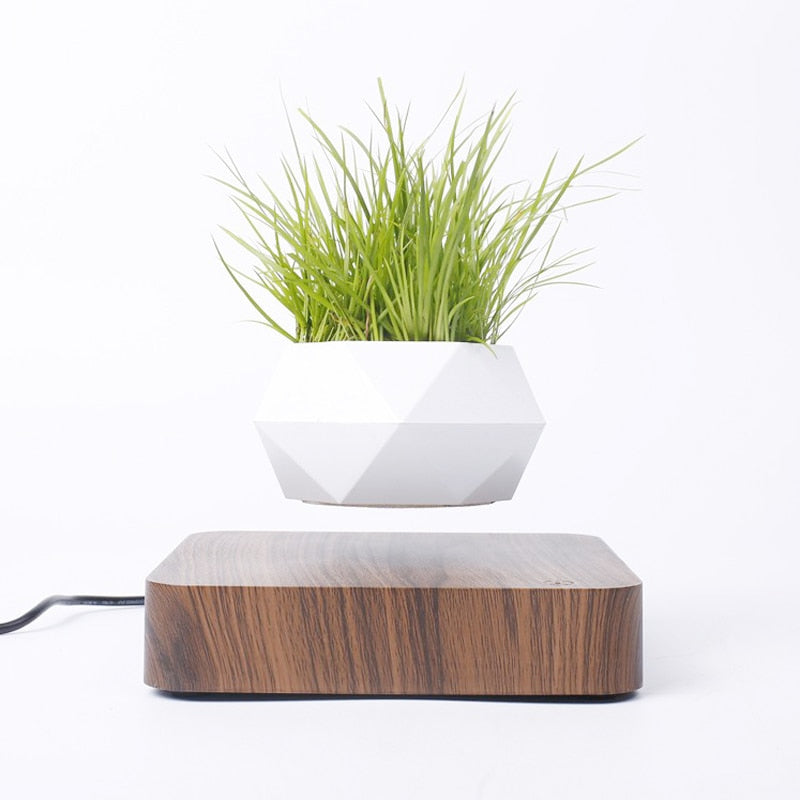 Levitating Air Bonsai Pot Magnetic Suspension Floating Potted Plant Home Desk Decor