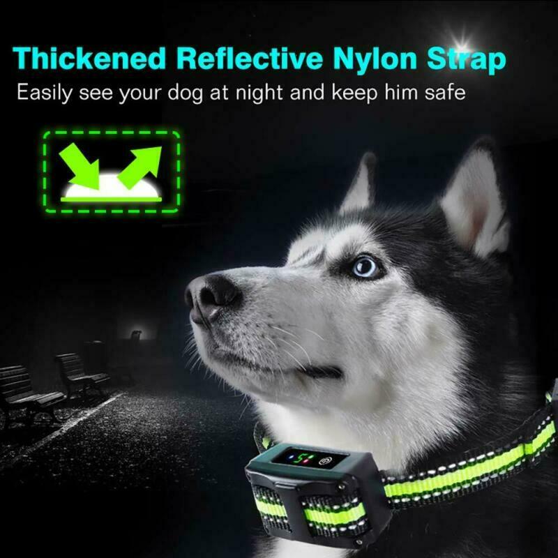 Anti Barking Collar Rechargeable Dog No Bark Waterproof Humane Training NO PAIN - Great Stuff Shops