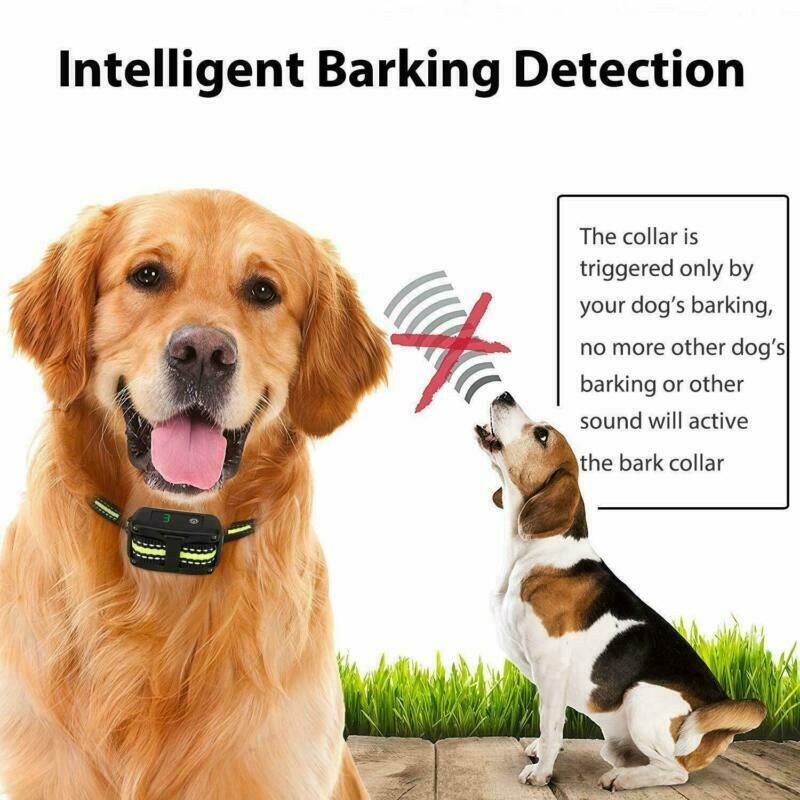 Anti Barking Collar Rechargeable Dog No Bark Waterproof Humane Training NO PAIN - Great Stuff Shops