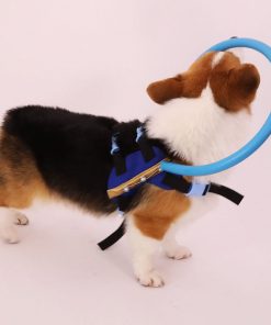 Blind Dog Halo Bumper Collar Harness