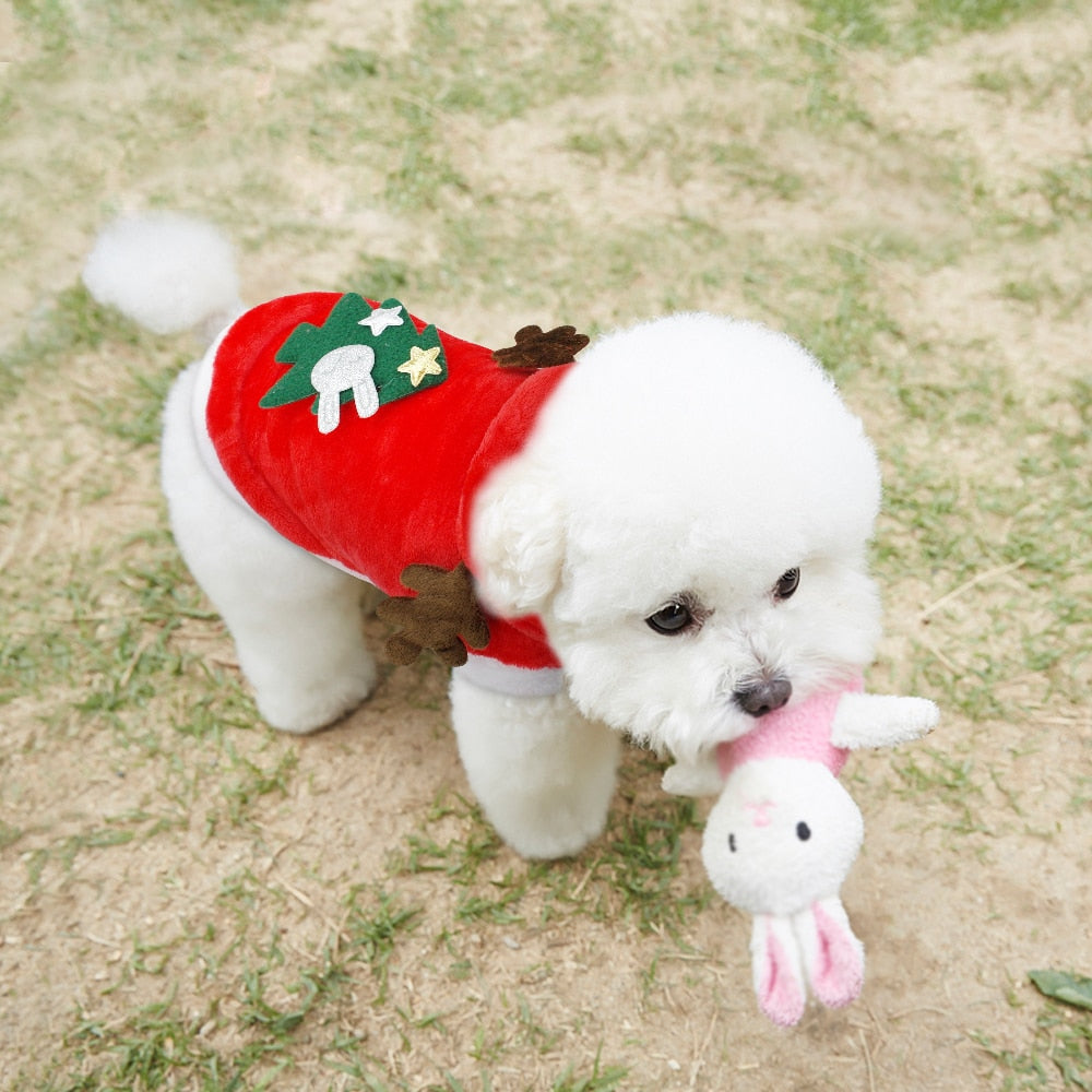 Christmas Cat and Small Dogs Santa Costume