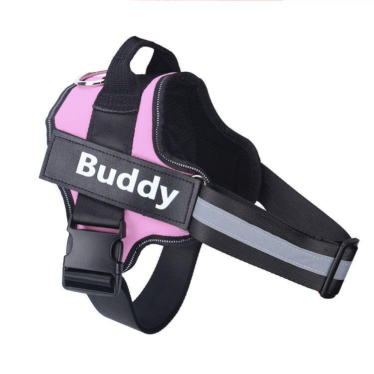 Personalized Dog Harness Customized With Your Pets Name by SafeDogz - Great Stuff Shops