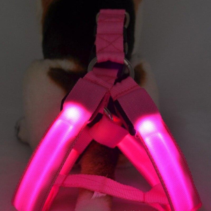 Light Up Dog Harness LED Rechargeable Light by SafeDogz - Great Stuff Shops