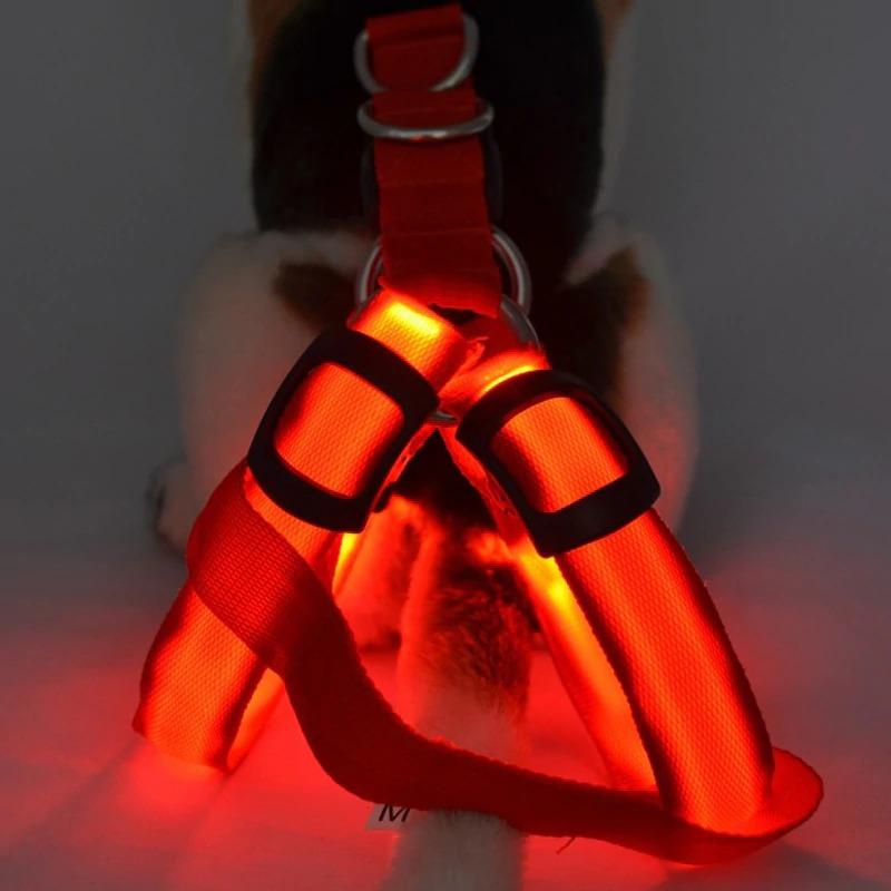 Light Up Dog Harness LED Rechargeable Light by SafeDogz - Great Stuff Shops