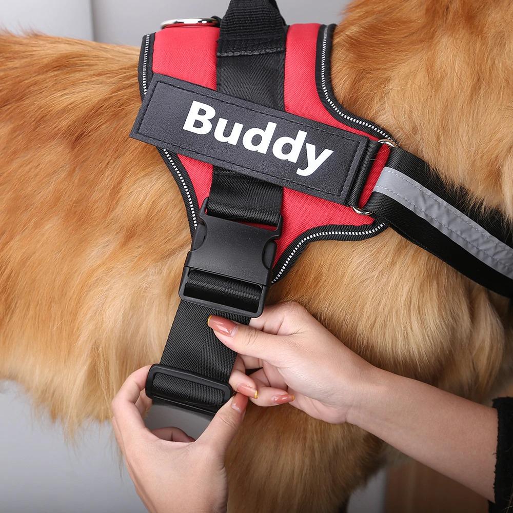 Personalized Dog Harness Customized With Your Pets Name by SafeDogz - Great Stuff Shops